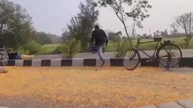 तालबेहट: झरर घाट के पास हाइवे 44 पर एक तेज रफ्तार ट्रक अनियंत्रित होकर पलटा, मचा हड़कंप, सड़क पर बिखरा मक्का, वीडियो हुआ वायरल