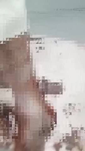 नजीबाबाद: नजीबाबाद में कुत्तों के आतंक ने एक बुजुर्ग के पैर को काटकर बुरी तरह जख्मी किया