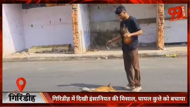 #गिरिडीह में दिखी #इंसानियत की #मिसाल, #घायल #कुत्ते को बचाया