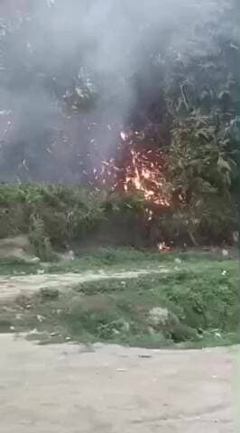 महुआ: महुआ मुकुंदपुर वार्ड 22 में झाड़ी में लगी आग, फायर ब्रिगेड को दी सूचना