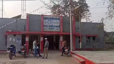 केवटी रनवे: केवटी प्रखंड मुख्यालय से सरकारी पेड़ों की कथित अवैध कटाई, BDO पर आरोप, BDO ने आरोप को बताया निराधार