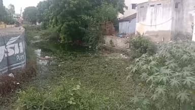 அருப்புக்கோட்டை: பெரிய புளியம்பட்டி கம்மவார் பள்ளிக்கூட தெருவில் உள்ள மழைநீர் வரத்து கால்வாய் ஓடையை குப்பை கொட்டும் இடமாக மாறி உள்ளது சரி செய்ய பொதுமக்கள் கோரிக்கை