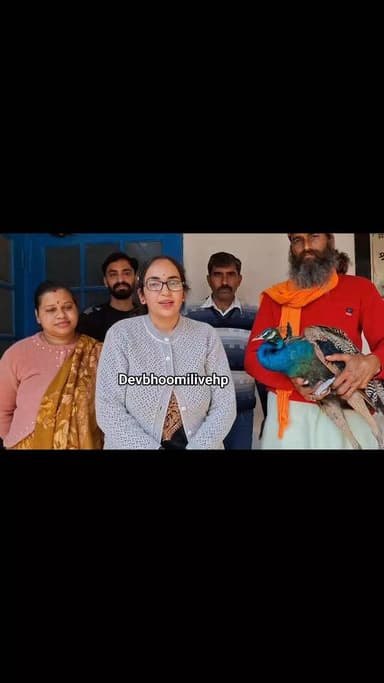 राष्ट्रीय पक्षी मोर का उपचार करने के बाद क्या बोली डाॅ कनिका शर्मा
#devbhoomilivehp #everyonehighlightsfollowers #reels...