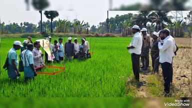 గజపతినగరం: పంట మార్పిడి విధానం బహుళపదాయకం: కొత్త బగ్గాంలో వ్యవసాయ శాఖ ఏడి నిర్మల జ్యోతి