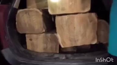 ડાંગ જિલ્લા ઉત્તર વનવિભાગ વિસ્તારમાં વનવિભાગ અને પોલીસના સંયુક્ત ઓપરેશનમાં ચીકટીયા ગામ નજીક સાગના લાકડા ભરેલી કાર ઝડપી