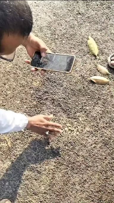 बस्ती जिले के कप्तानगंज विकास खण्ड में मानकविहीन सड़क निर्माण का वीडियो वायरल....