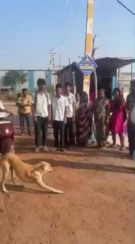 ಗುಳೇದಗುಡ್ಡ: ಪಟ್ಟಣದ ಶಿಕ್ಷಕರ ನಗರದ ರಸ್ತೆಯಲ್ಲಿ ಮಾಟ, ಮಂತ್ರ, ವಾಮಾಚಾರ : ಆತಂಕ, ಭಯಗೊಂಡ ಸಾರ್ವಜನಿಕರು, ಮಕ್ಕಳು