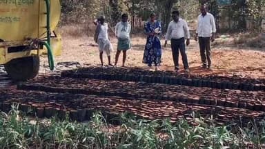 లింగంపేట్: లింగంపేట్ లోని నల్లమడుగు గ్రామ నర్సరీని సందర్శించిన ఎంపీఓ మలహరి, మొక్కల పెంపకంలో అశ్రద్ధ వహించకూడదని సూచించారు