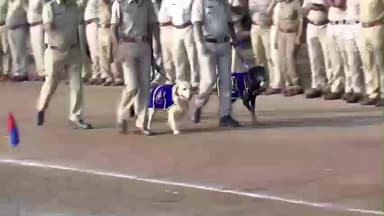 ವಿಜಯಪುರ: ಪೊಲೀಸ್ ಇಲಾಖೆಯಲ್ಲಿ ಸೇವೆ ಸಲ್ಲಿಸಿ ನಿವೃತ್ತಿ ಹೊಂದಿದ ಶ್ವಾನಗಳಿಗೆ ನಗರದಲ್ಲಿ ಎಸ್ ಪಿ ಲಕ್ಷ್ಮಣ್ ನಿಂಬರಗಿ ಸನ್ಮಾನ