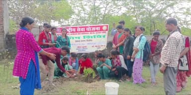 गरौठा: गुरसरांय में उत्साह के साथ हुआ वृक्षारोपण कार्यक्रम, वृक्ष लगाओ, धरती बचाओ
