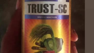 अमरोहा: कीटनाशक दवा की बोतल हाथ में लेकर लास्ट डे जिंदगी का, 'सब हैप्पी रहो' ये टेक्स लिखकर किया पोस्ट, रजबपुर पुलिस ने बचाया