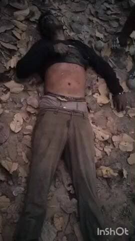 ତୁରୁମୁଙ୍ଗା: ମଙ୍ଗଳା ପଶି ଗାଁ ନିକଟରେ ହାତୀ ଆକ୍ରମଣରେ ଜଣେ ଗୁରୁତର