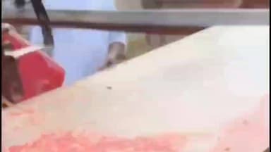 बेलागंज: चाकन्द पुलिस का अवैध बालू खनन पर शिकंजा, चातर घाट से ट्रैक्टर जब्त