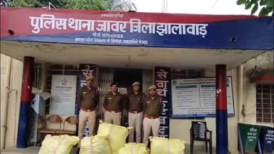 मनोहरथाना: कागला कोटडा में गेहूँ के खेत में उगाई जा रही गांजे की खेती पकड़ी गई, 121 किलो गांजा किया गया जब्त