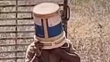 बिलारा: लांबा में प्रदर्शन के दौरान टंकी पर चढ़े लोगों पर मधुमक्खियों ने किया हमला, 2 युवकों की हालत गंभीर