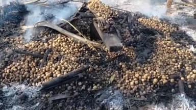 মাৰ্ঘেৰিটা: মাৰ্ঘেৰিটাত বিধ্বংসী অগ্নিকাণ্ড, জুইত জাহ গ’ল তিনিটাকৈ বাসগৃহ