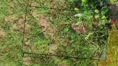 ઇડર: સાબરકાંઠામાં ડિજિટલ ક્રોપ સર્વેની ચકાસણી માટે આર્ટિફિશિયલ ઇન્ટેલિજન્સ બોટની મદદ લેવાશે