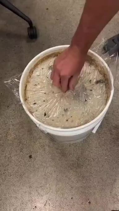 अगर आपको स्वस्थ रहना है जीवन में तो इन तत्वों का पालन जरूर किया करे