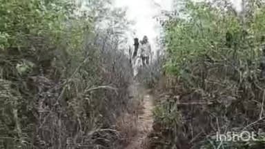 गंधवानी: बाग में गिद्धों की गिनती शुरू, पहले दिन एक भी नहीं दिखा, 3 दिन चलेगा अभियान