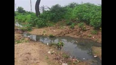 માણાવદર: માં ગંદકીના ગંજ વચ્ચે ઉભરાતી ગટરો: નગરપાલિકાના સફાઈના દાવા પોકળ સાબિત થતા જનરોષ