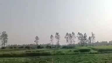 सिधौली: गोदला मऊ इलाके में अवैध अतिक्रमण पर प्रशासन की बड़ी कार्रवाई, 80 बीघा भूमि को कराया गया कब्जा मुक्त