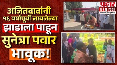 अजितदादांनी १६ वर्षांपूर्वी लावलेल्या झाडाला पाहून सुनेत्रा पवार भावूक!