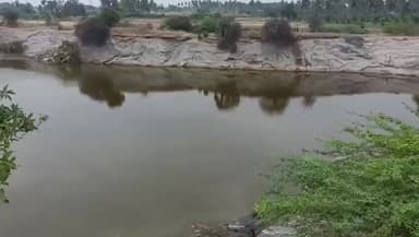 திண்டுக்கல் மேற்கு: செட்டிநாயக்கன் பட்டியில் பாறை குளத்தில் வழுக்கி விழுந்து சலவை தொழிலாளி உயிரிழப்பு