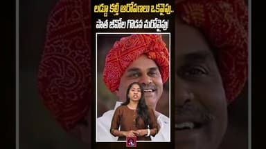 "లడ్డూ కల్తీ ఆరోపణలు ఒకవైపు.. పాత జీవోల గొడవ మరోవైపు! Qtv Media #cbn #ycpleaders #tdpvsycp #viral
