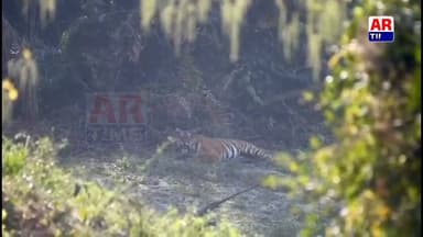 বনৰজা কাক কয় ?