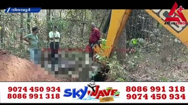 കാട്ടുപന്നി ശല്യം; നിലമ്പൂർ നഗരസഭയിൽ 33 കാട്ടുപന്നികളെ വെടിവച്ചുകൊന്നു