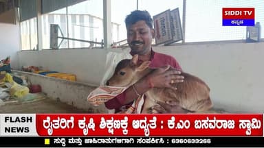 ಕಂಪ್ಲಿ :ಕಲ್ಯಾಣ ಚೌಕಿಮಠ ಕಾಮಧೇನು ಗೋಶಾಲೆ : ಆಧ್ಯಾತ್ಮಿಕತೆ ಮತ್ತು ಕೃಷಿಯ ಸಮನ್ವಯದ ಮಹಾಕಾರ್ಯ|Siddi TV