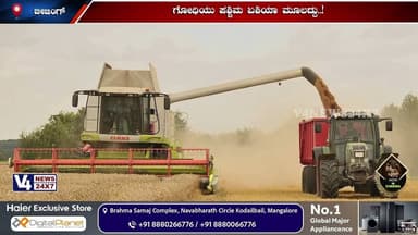 ಗೋಧಿಯು ಪಶ್ಚಿಮ ಏಶಿಯಾ ಮೂಲದ್ದು..!ಅತೀ ಹೆಚ್ಚು ಬೆಳೆಯುವ ದೇಶ ಚೀನಾ