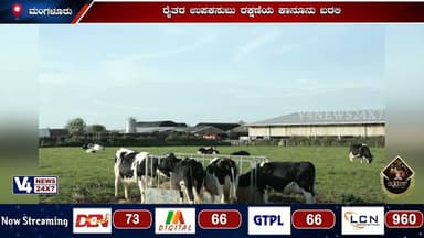 ದನ ಸಾಕುವವನೇ ಅದರ ಪೂರ್ಣ ಹಕ್ಕುದಾರ;ರೈತರ ಉಪಕಸುಬು ರಕ್ಷಣೆಯ ಕಾನೂನು ಬರಲಿ