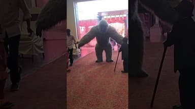 ok pellilo vintha veshalu