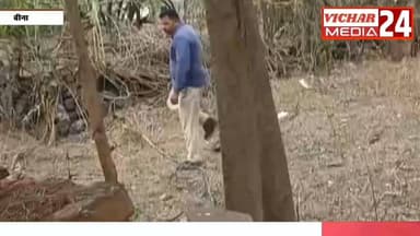 कुत्ते इंसानों के साथ अब जानवरों को भी बना रहे निशाना #khurai #khurainews #mor #dog #hamla #gayal