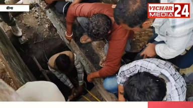 गौ सेवा दल के सदस्यों और पुलिस की मेहनत रंग लाई #bina #binanews #gosevak🚩🙏 #rescue #poliçe #saand #gädda