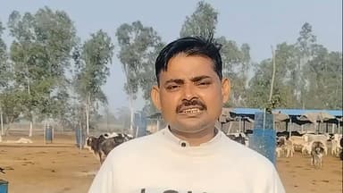 निघासन: मोतीपुर ग्राम पंचायत में अस्थाई गौशाला बनी प्रेरणा का केंद्र, ग्राम प्रधान प्रतिनिधि ने दी दो एकड़ जमीन निशुल्क