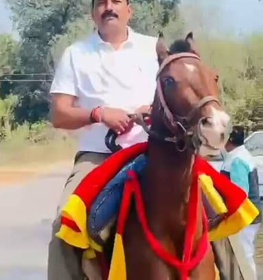 घुड़सवारी का आनंद लेते हुए.