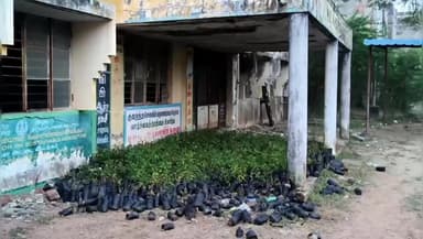 திருவாடனை: பழைய உதவி வேளாண்மை இயக்குனர் அலுவலக வளாகத்தில்,மாயமான 600 மரக்கன்றுகள்