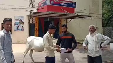 गाडरवारा: टेकापार के किसानों का आरोप, डेयरी संचालक मार्च से दूध का पैसा नहीं दे रहा