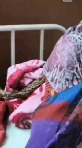 गोविंदगढ़: चिडवाई गांव में पुरानी रंजिश के चलते झगड़ा, गोविंदगढ़ पुलिस ने 6 को दबोचा, शादी समारोह में फोटो खींचने पर हुआ विवाद