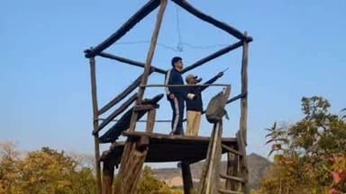 मानपुर: बांधवगढ़ टाइगर रिजर्व में गिद्धों की तीन दिवसीय गणना शुरू, 400 कर्मचारी ऐप से कर रहे हैं डिजिटल काउंटिंग