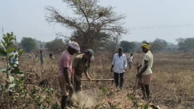 ଲୋଇସିଂହା: ଭୋଇପାଲି ପୁଡାପଦର ଫଡ଼ିରେ କେନ୍ଦୁପତ୍ର ଜଙ୍ଗଲ ସଫା କାମ ଆରମ୍ଭ