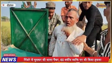 अजमेर में पैंथर का हमला, 2 घायल, गांव में दहशत
#ajmer #ajmernews #ajmercity #ajmerdargah #ajmersharif #ajmerdiaries #aj...