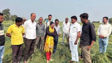 खाचरौद: विधायक चौहान ने किसानों से कहा: आपदा में भाजपा हमेशा आपके साथ है