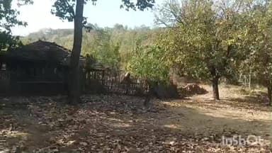 गोड्डा: गोड्डा नगर परिषद चुनाव: आचार संहिता उल्लंघन में चैनलों और एक अभ्यर्थी के खिलाफ कानूनी कार्रवाई शुरू