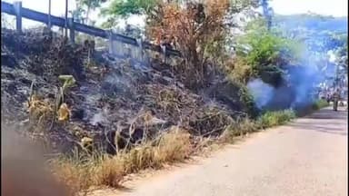 ചേർത്തല: പുല്ലിന് തീപിടിച്ച് തീ ആളിപ്പടർന്നു പള്ളിപ്പുറത്താണ് സംഭവം