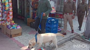 पंचकूला: पंचकूला पुलिस का मुख्य बाजार व रिहायशी क्षेत्रों में कॉम्बिंग ऑपरेशन, डॉग स्क्वॉड के साथ सघन तलाशी