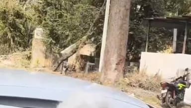 गिर्वा: फिल्म डायरेक्टर विक्रम भट्ट उदयपुर जेल से बाहर आए, बोले- मुझे पूरा यकीन था सच्चाई सामने आएगी