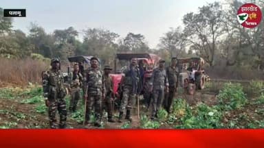 नौडीहा बाजार पुलिस की बड़ी करवाई, 15 एकड़ मे लगे अफीम पोस्ता की खेती क़ो किया गया नष्ट
परवेज़ आलम की रिपोर्ट
पलामू जिला ...